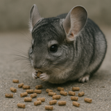 SUAVEPIEL (Alimento para chichillas)