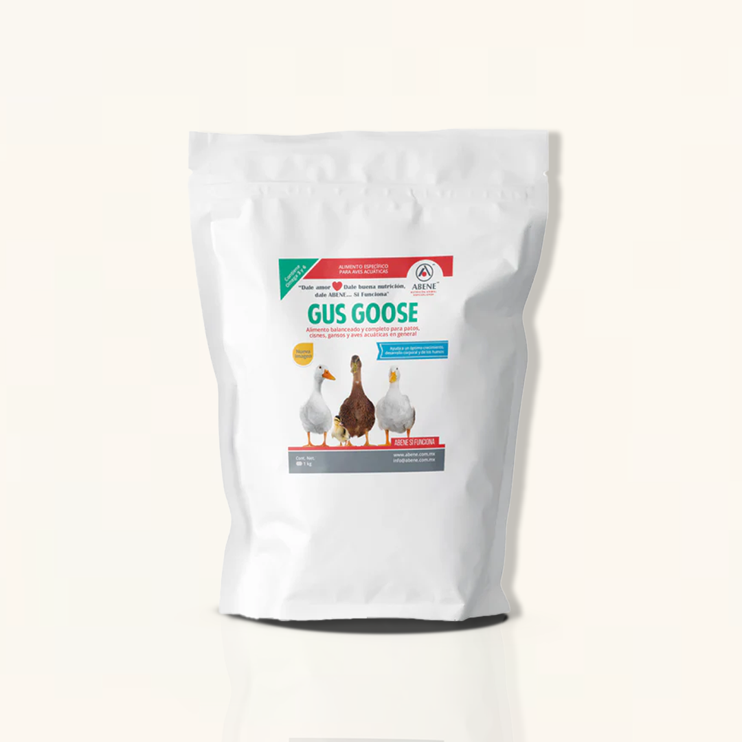 GUS GOOSE, Alimento balanceado para patos y aves acuáticas